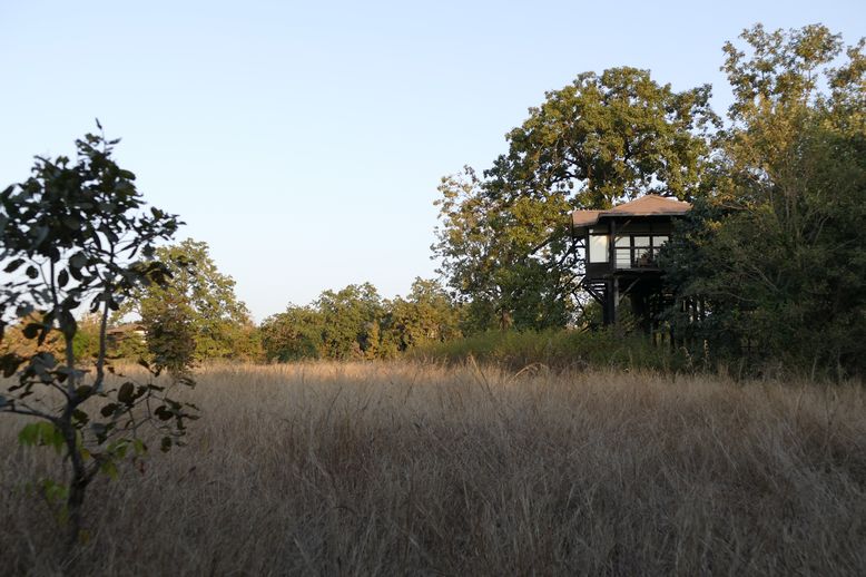 Unser Baumhaus in Pench Tree Lodge