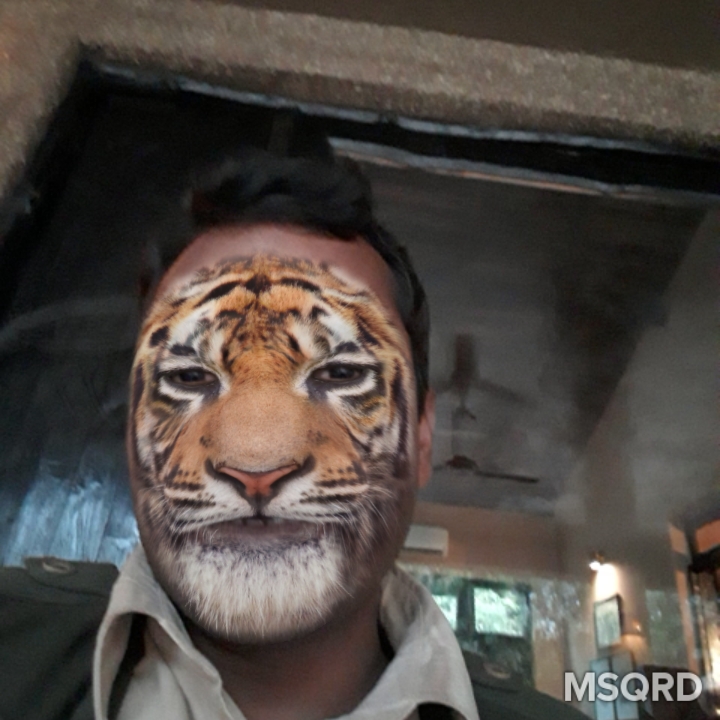 Gudda Tiger