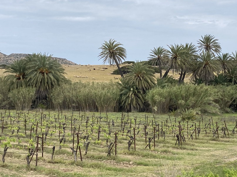 Ostkretische Trilogie Ostkretische Trilogie
