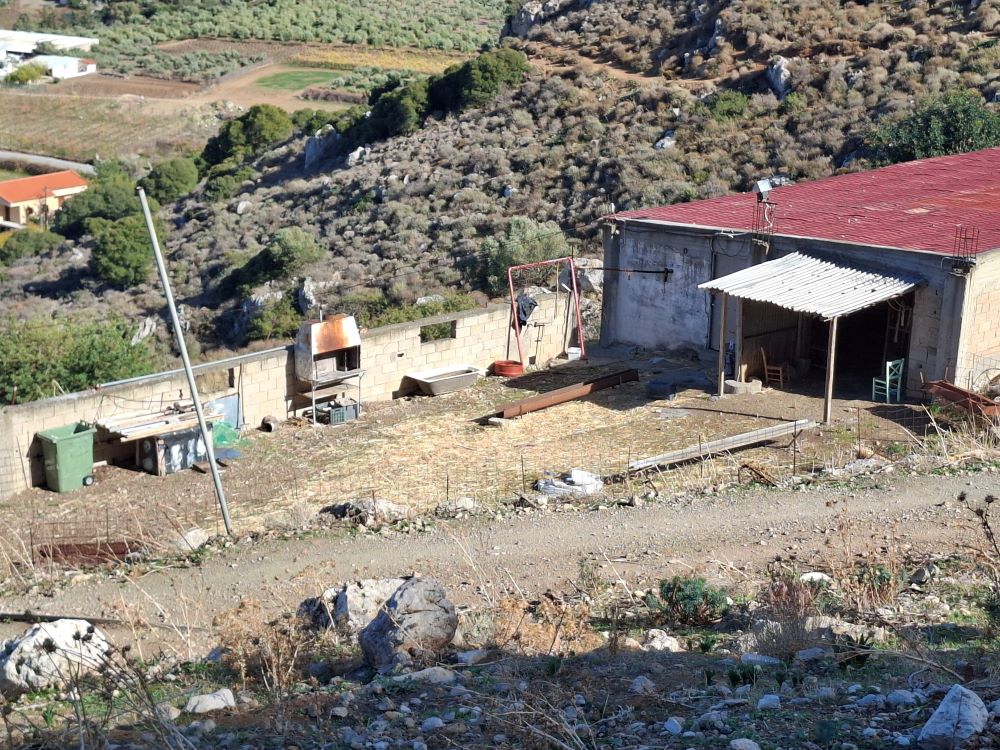 From the farm to the table