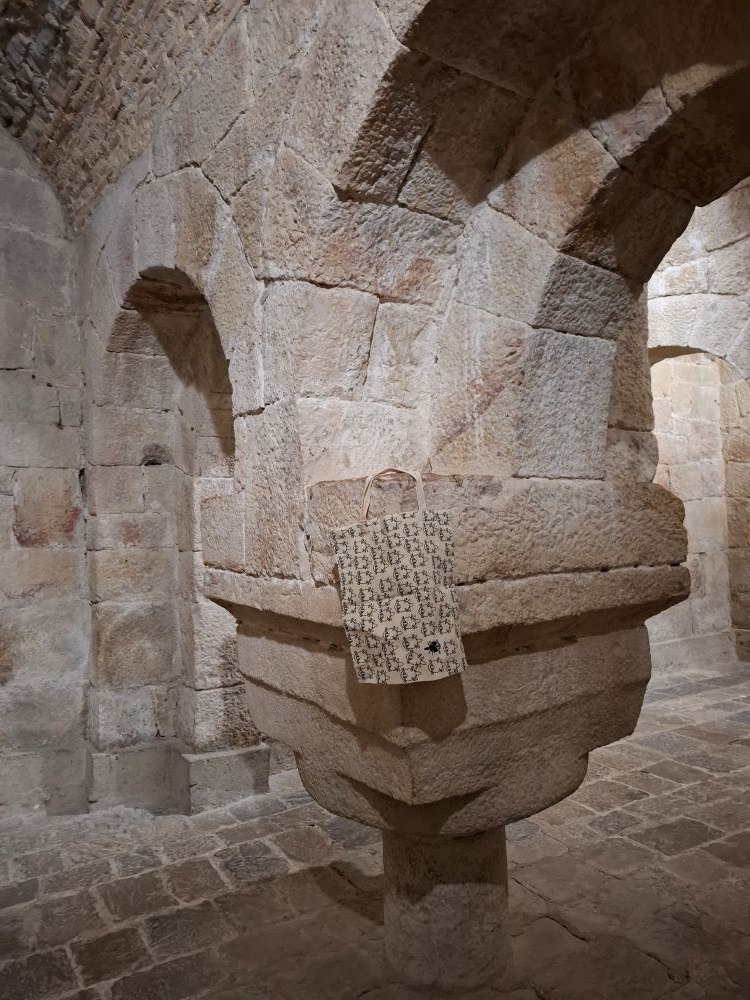 Kloster San Salvador de Leyre