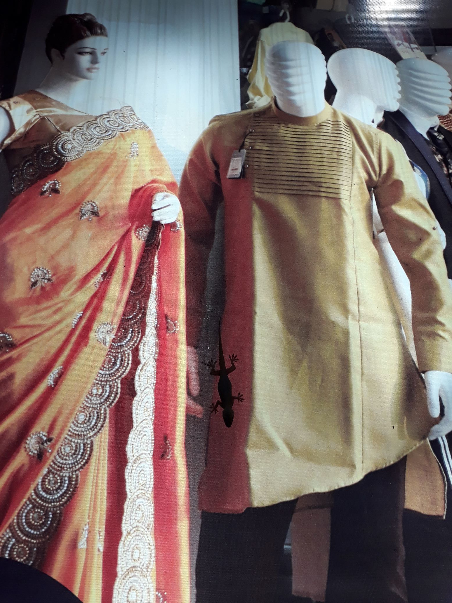 Gecko auf Leuchtreklame