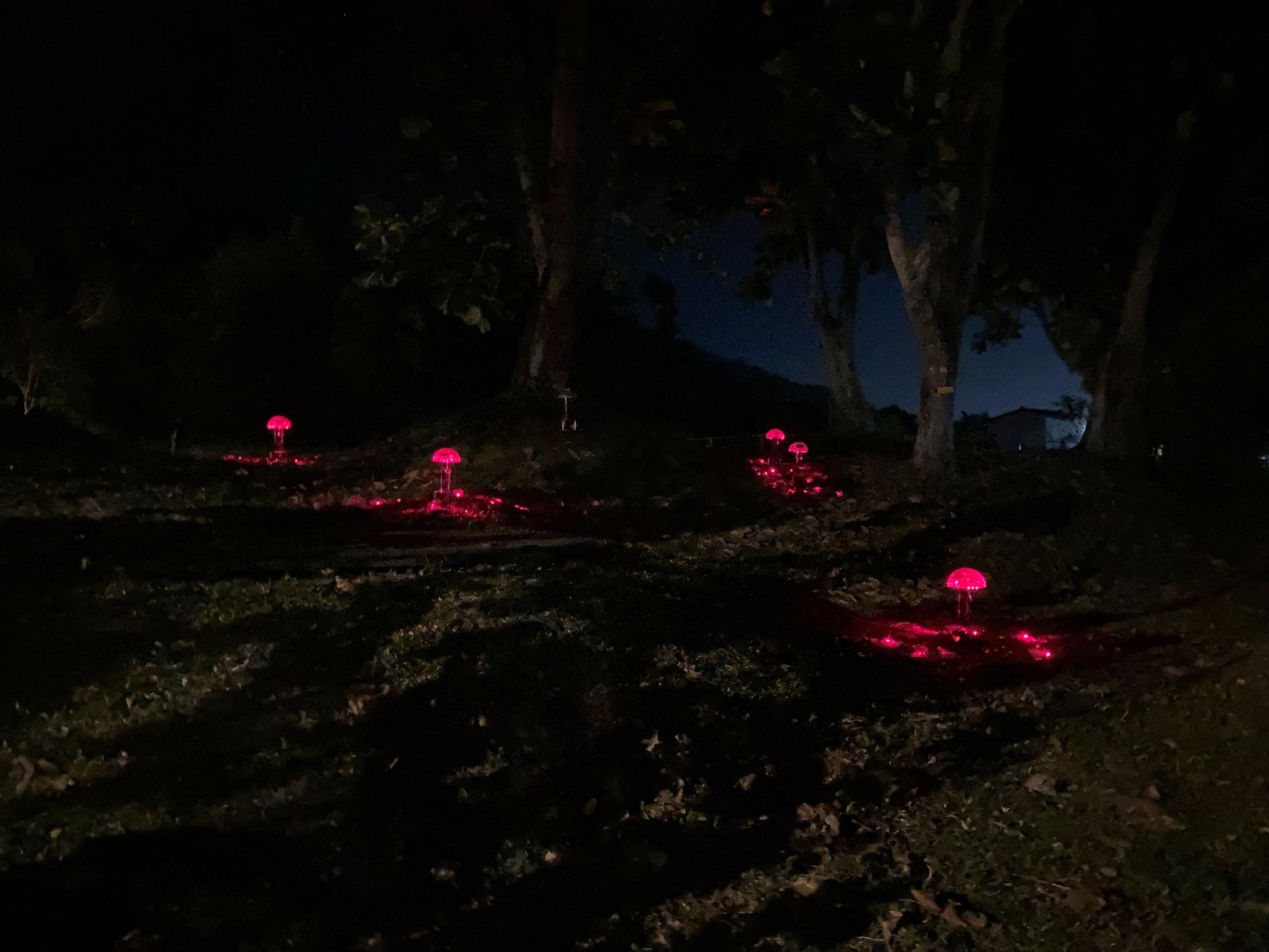 taitung light festival taitung light festival